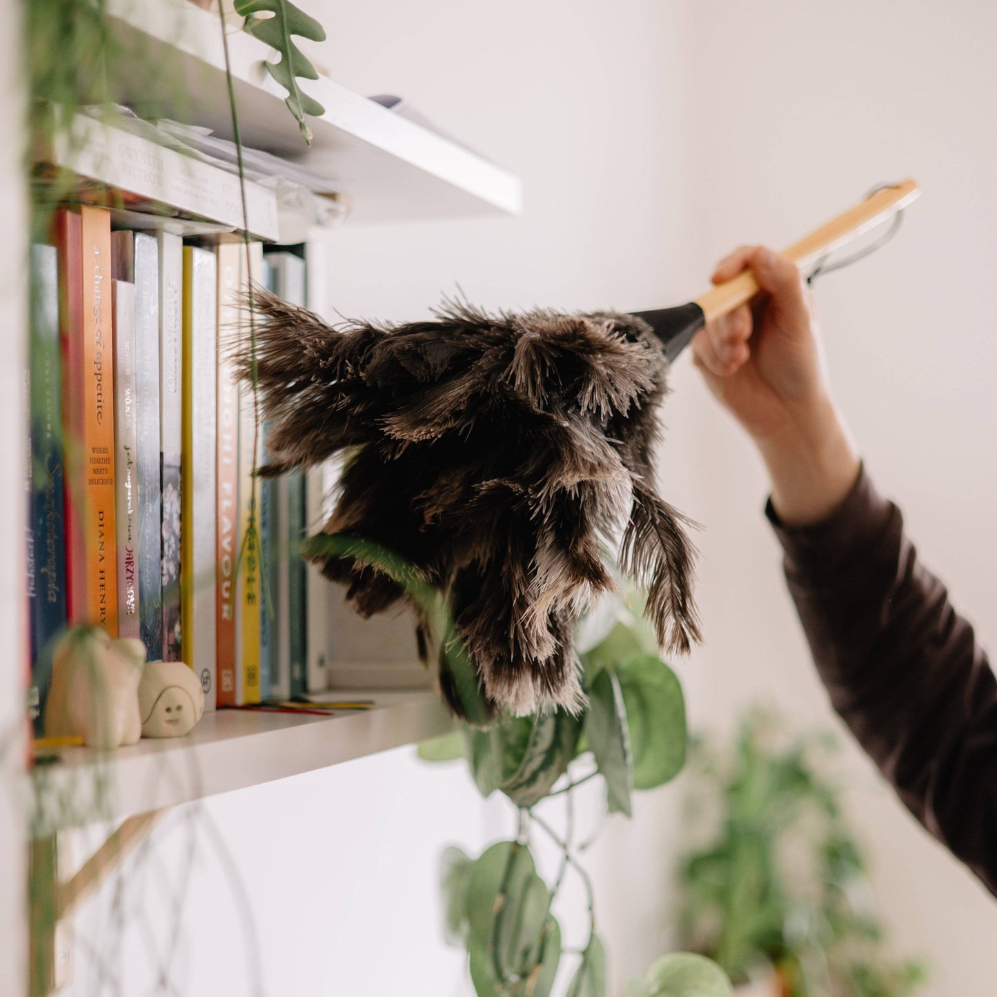 Stor naturlig strudsefjerkost